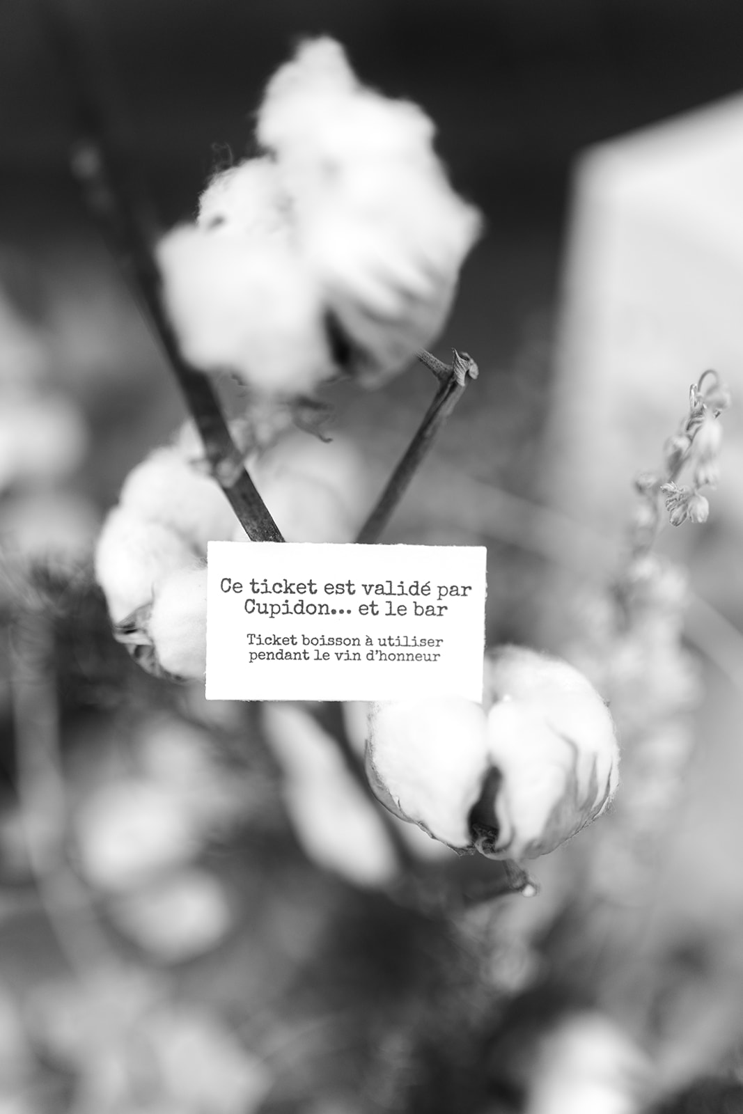 Djara et Antoine wedding design Nantes Rosa event design